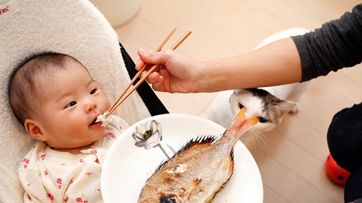 Cách sáng tạo những món ngon từ cá giúp bé ăn ngon miệng hơn